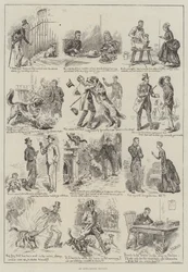 Una Protesta Anti-Canina